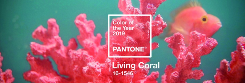 PANTONE 2019 YILININ RENGİNİ BELİRLEDİ: LIVING CORAL