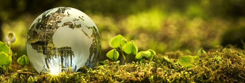 SOSYAL SORUMLULUK PROJESİ MARKA İTİBARINI DESTEKLER